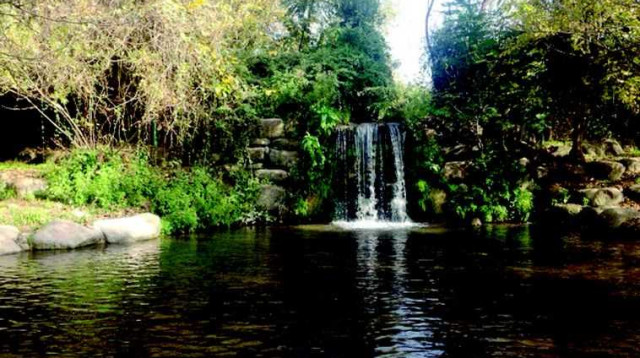 נחל שניר (צילום: הדר יהב)