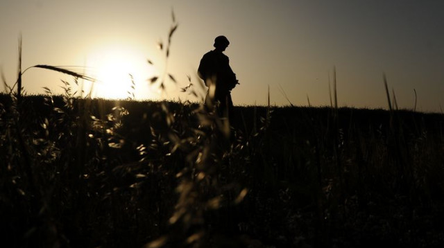 חייל. אילוסטרציה (צילום: פלאש 90)