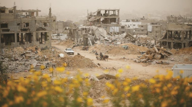 עזה אחרי צוק איתן (צילום: רויטרס)