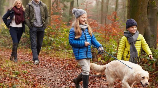 משפחה עם כלב (צילום: אינגאימג)