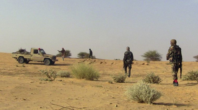 מורדים בדלניים, מאלי (צילום: רויטרס)