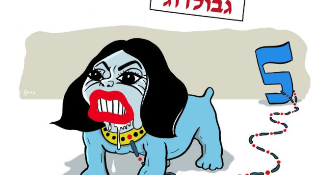 עובר כל גבול (צילום: ניסים חזקיהו)