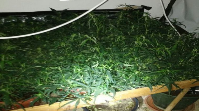 סמים שנתפסו ברחובות (צילום: דוברות המשטרה)