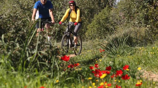 טיול אופניים ברחבי הארץ (צילום: יוסי זמיר, פלאש 90)