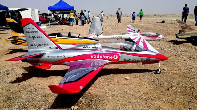 טיסנים בעין יהב (צילום: מיטל שרעבי)