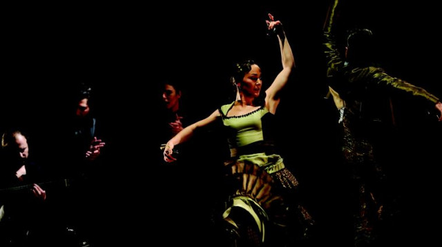 פסטיבל הפלמנקו בסוזן דלל  (צילום: יח"צ)