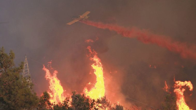 אסון הכרמל (צילום: אלכס רוזקובסקי)
