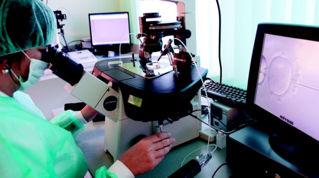 הפריה חוץ גופית (צילום: רויטרס)