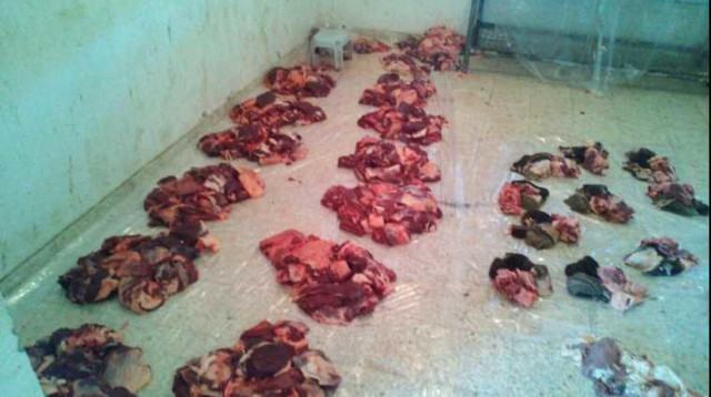 בשר מוברח שנתפס (צילום: חנוך יחיא)