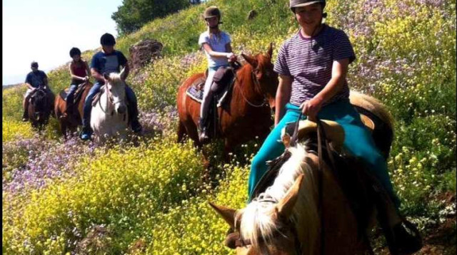 טיול סוסים (צילום: ויליאם עג'מי)