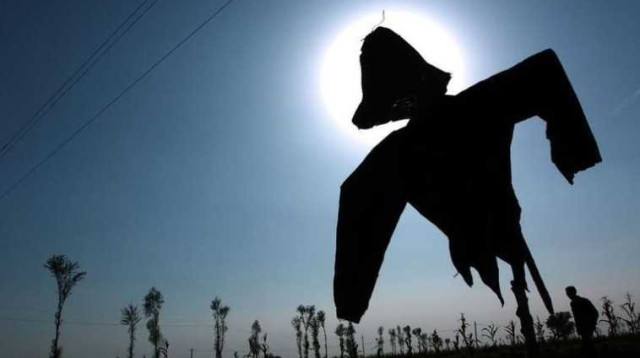 דחליל, אילוסטרציה (צילום: רויטרס)