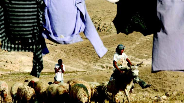 יישוב בדואי סמוך לכפר אדומים (צילום: נתי שוחט, פלאש 90)