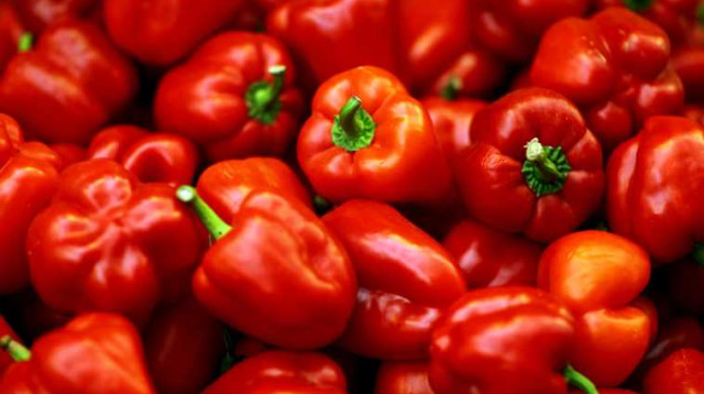 פלפלים (צילום: אביר סולטאן, פלאש 90)