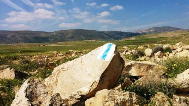 שביל המפקדים (צילום: החברה להגנת הטבע)