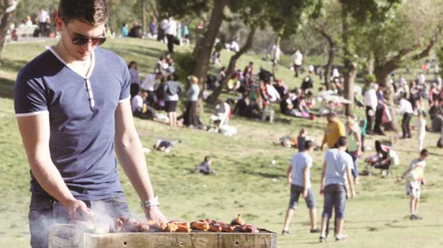 מנגל על האש ביום העצמאות (צילום: מרק ישראל סלם)