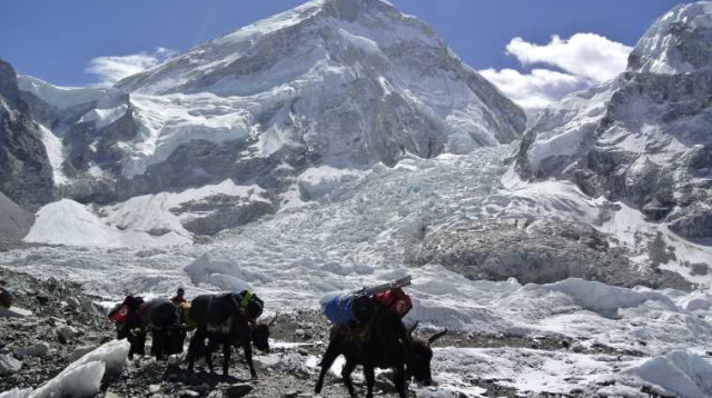 האוורסט בנפאל (צילום: רויטרס)