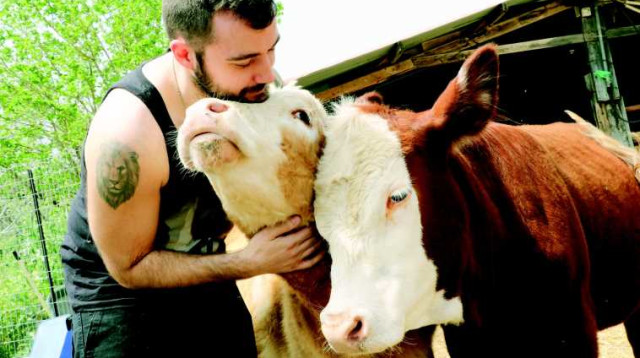 פעיל תנועת 269 לזכויות בעלי חיים עם העגלות דיאנה ולונה  (צילום: דני מרון)