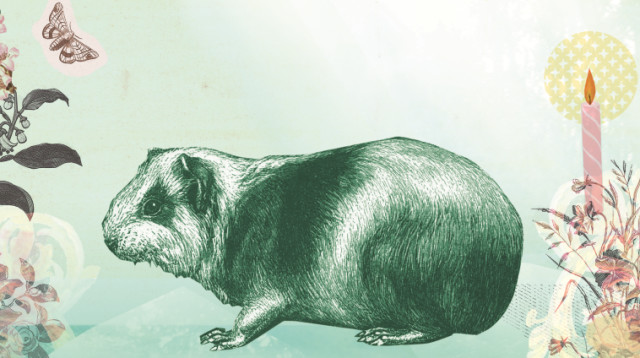 מצעד החנפנים (צילום: איור: אילה טל)