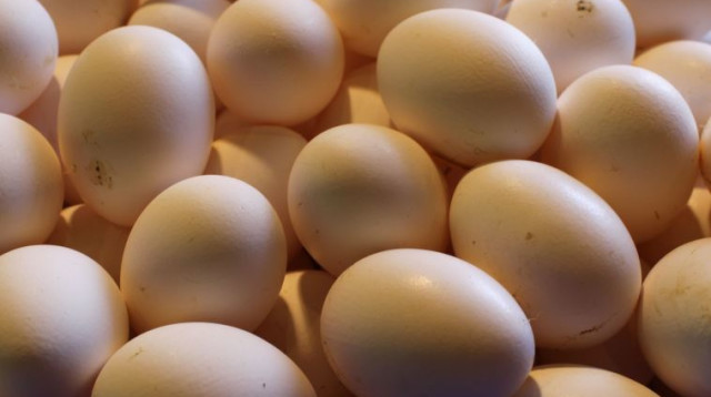 ביצים  (צילום: פלאש 90)