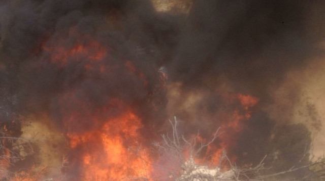 שריפה בעין יעל (צילום: כבאות ירושלים)