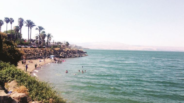 חוף הכנרת (צילום: מיטל שרעבי)
