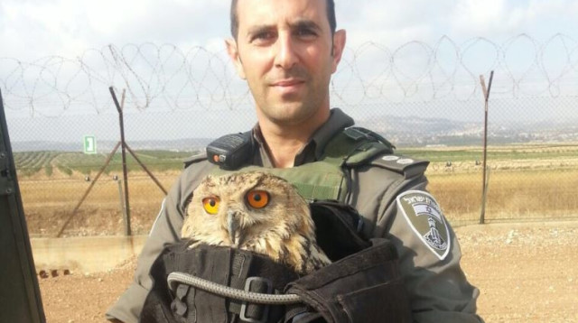 האוח שהצילו לוחמי מג"ב (צילום: חטיבת דובר המשטרה)