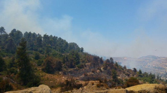 שריפה במעלה החמישה (צילום: דוברות כבאות והצלה)