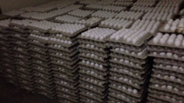 הברחת ביצים (צילום: חטיבת דובר המשטרה)