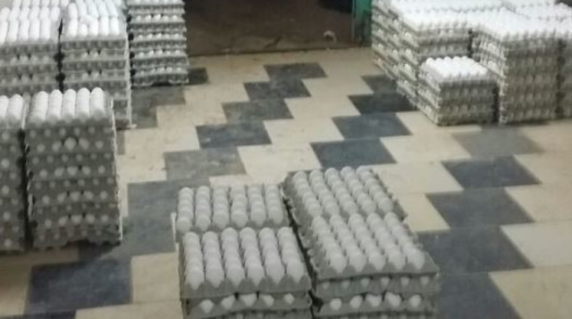 הברחת ביצים, ארכיון (צילום: חטיבת דובר המשטרה)