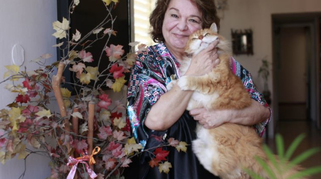 אתי גרוטס (צילום: רענן כהן)