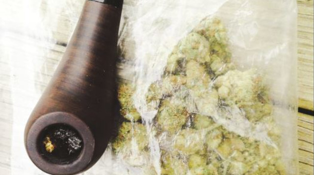 מריחואנה רפואית (צילום: רון מיברג)