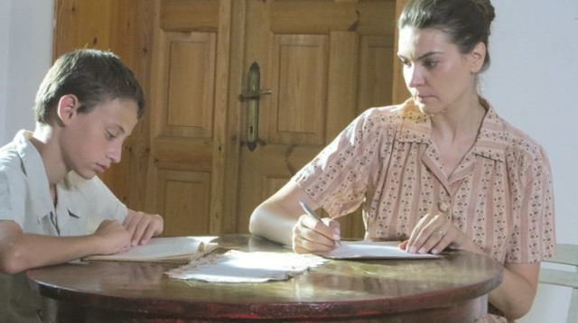 מרינה שויף (צילום: יח"צ)