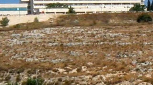 המרכז הרפואי זיו בצפת  (צילום: ויקיפדיה)