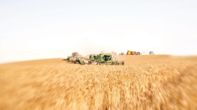 שדות קיבוץ רוחמה (צילום: אסף קליגר)