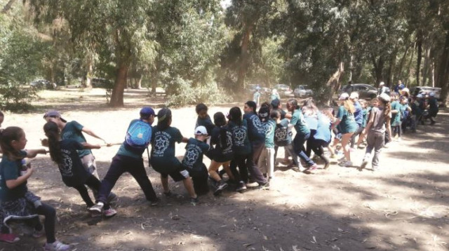 השומר הצעיר, תנועת נוער, תנועות נוער (צילום: באדיבות השומר הצעיר)