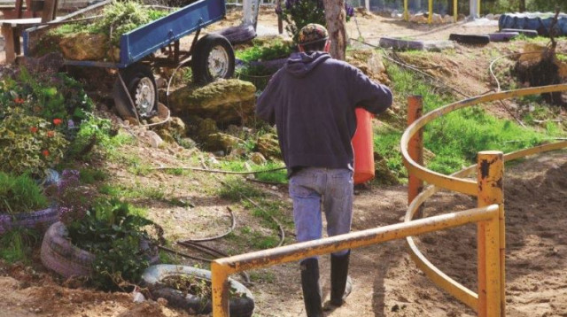 סדנת השילוב בגבעות (צילום: באדיבות סדנת השילוב בגבעות)