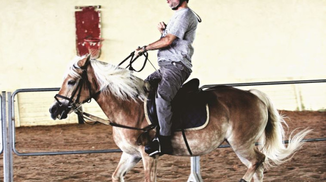 אייל פלד ברכיבה (צילום: אריאל בשור)