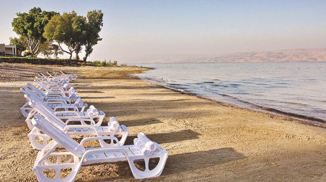 חוף עין גב (צילום: גל פלוטניקוב)