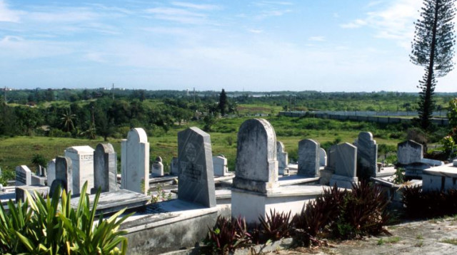 בית עלמין (צילום: פלאש 90)