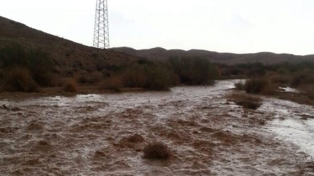 שיטפונות בדרום הארץ (צילום: יובל שגיא, רשות הטבע והגנים)