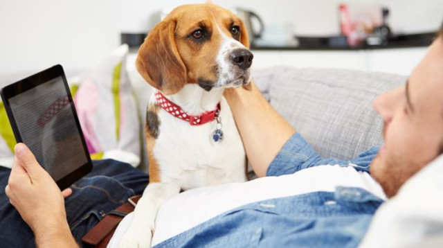 כלב ובעליו (צילום: אינגאימג)