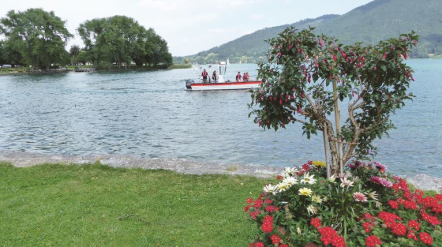 טיגרסה -  באד וייסזה (צילום: תלמה אדמון)