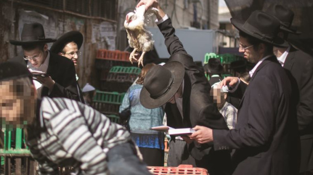 מנהג כפרות בתרנוגלים (צילום: הדס פרוש , פלאש 90)