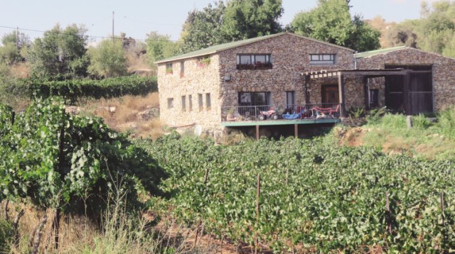 כרמי יקב פסגות (צילום: מיטל שרעבי)