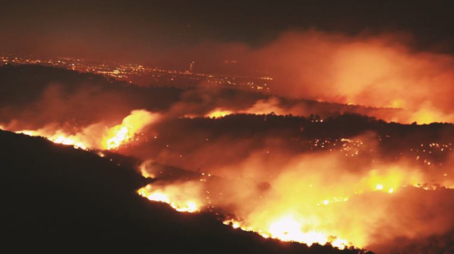 אסון הכרמל (צילום: מקס ילינסון)