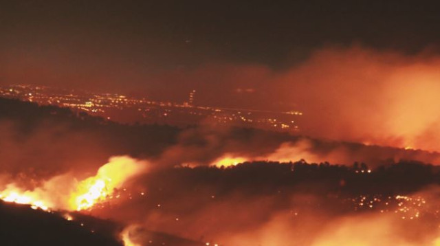 אסון הכרמל (צילום: מקס ילינסון)