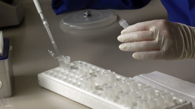 מבחנה (צילום: רויטרס)