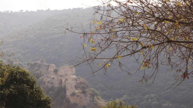 פארק גורן (צילום: יעקב שקולניק, קק"ל)