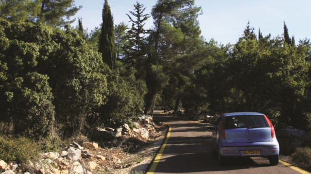 טיול ממירון לחצור הגלילית (צילום: יעקב שקולניק, קק"ל)