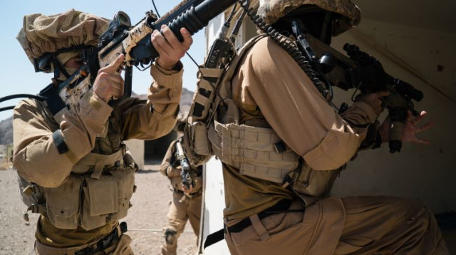 חיילים מיחידת "רימון"  (צילום: דובר צה"ל)